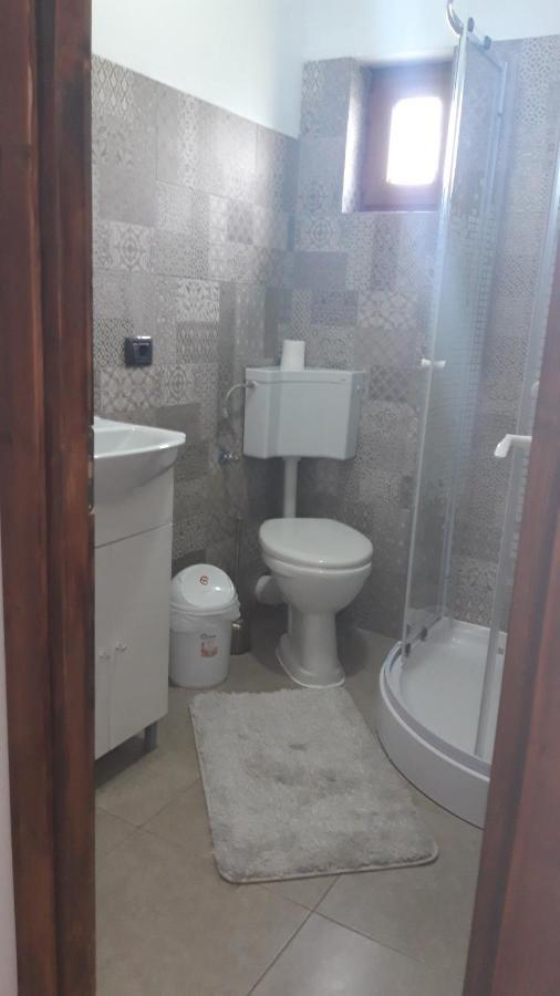 Casa Viorica Hotel Statjunea Borsa Bagian luar foto