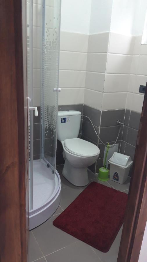Casa Viorica Hotel Statjunea Borsa Bagian luar foto