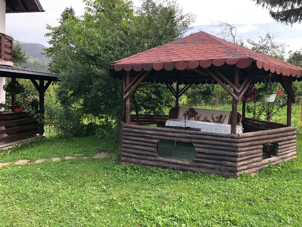 Casa Viorica Hotel Statjunea Borsa Bagian luar foto