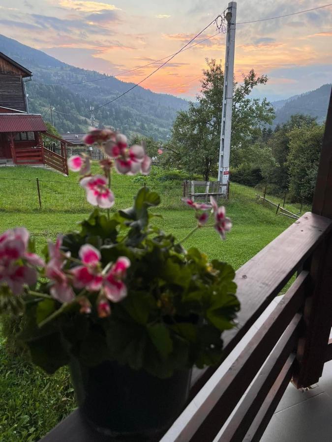 Casa Viorica Hotel Statjunea Borsa Bagian luar foto