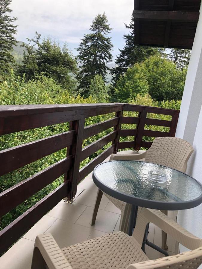 Casa Viorica Hotel Statjunea Borsa Bagian luar foto
